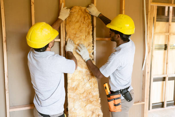 Best Best Insulation Companies  in Union Mill, VA