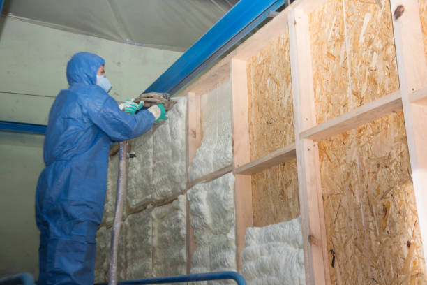 Best Home Insulation Services  in Union Mill, VA