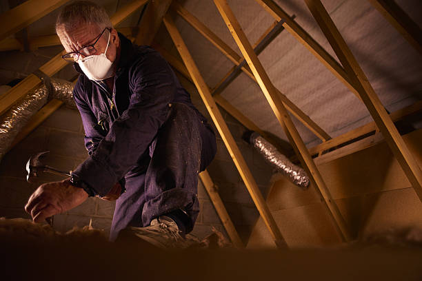 Best Crawl Space Insulation  in Union Mill, VA