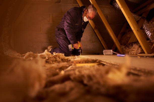 Best Insulation Repair Services  in Union Mill, VA
